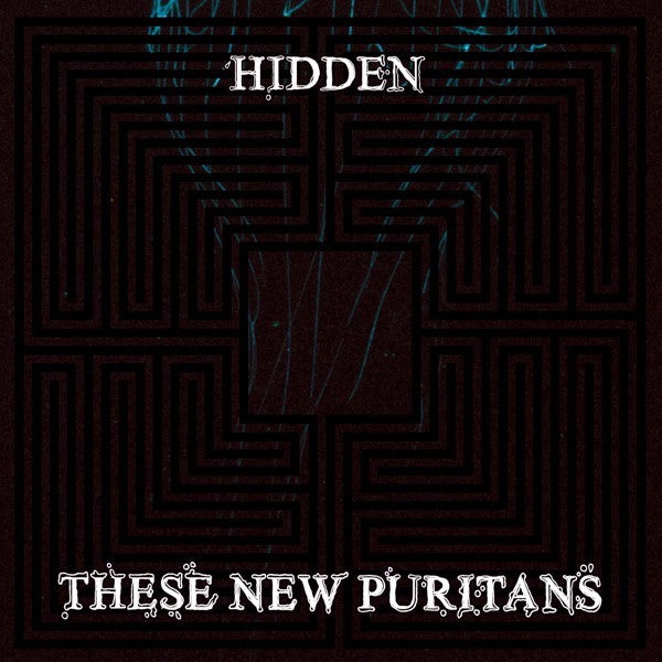 These New Puritans | Hidden | Album