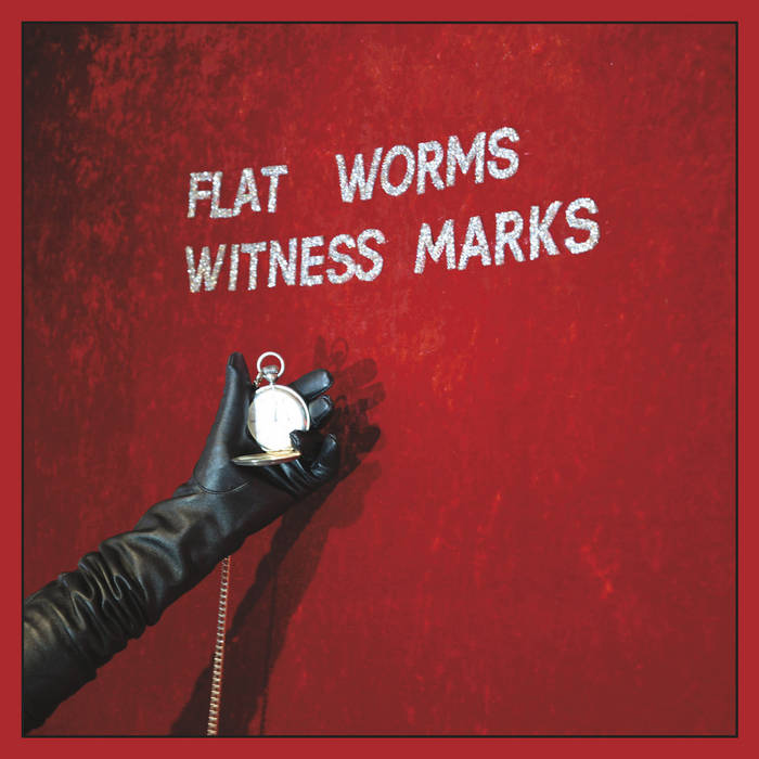 Flat Worms - Witness Marks Vinyl LP