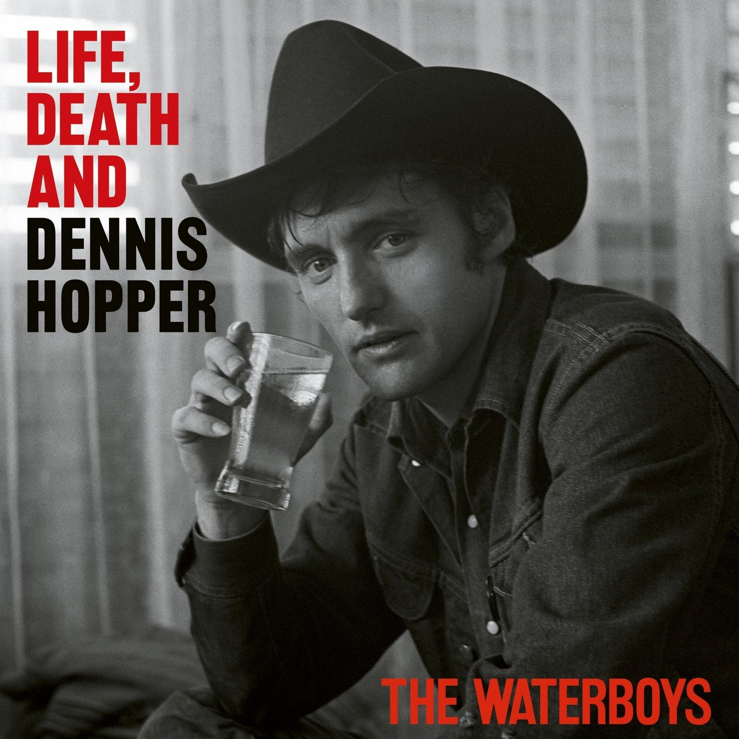 Waterboys - Life, Death And Dennis Hopper Indie Exclusive Psychedelic Waves Colored Gatefold Vinyl 2LP