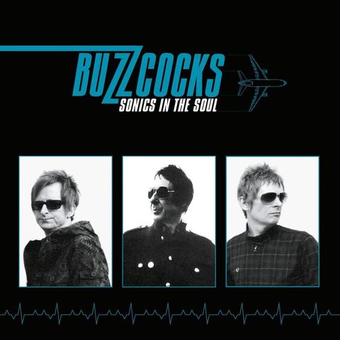 Buzzcocks - Sonics in The Soul (Indies only) Vinyl LP