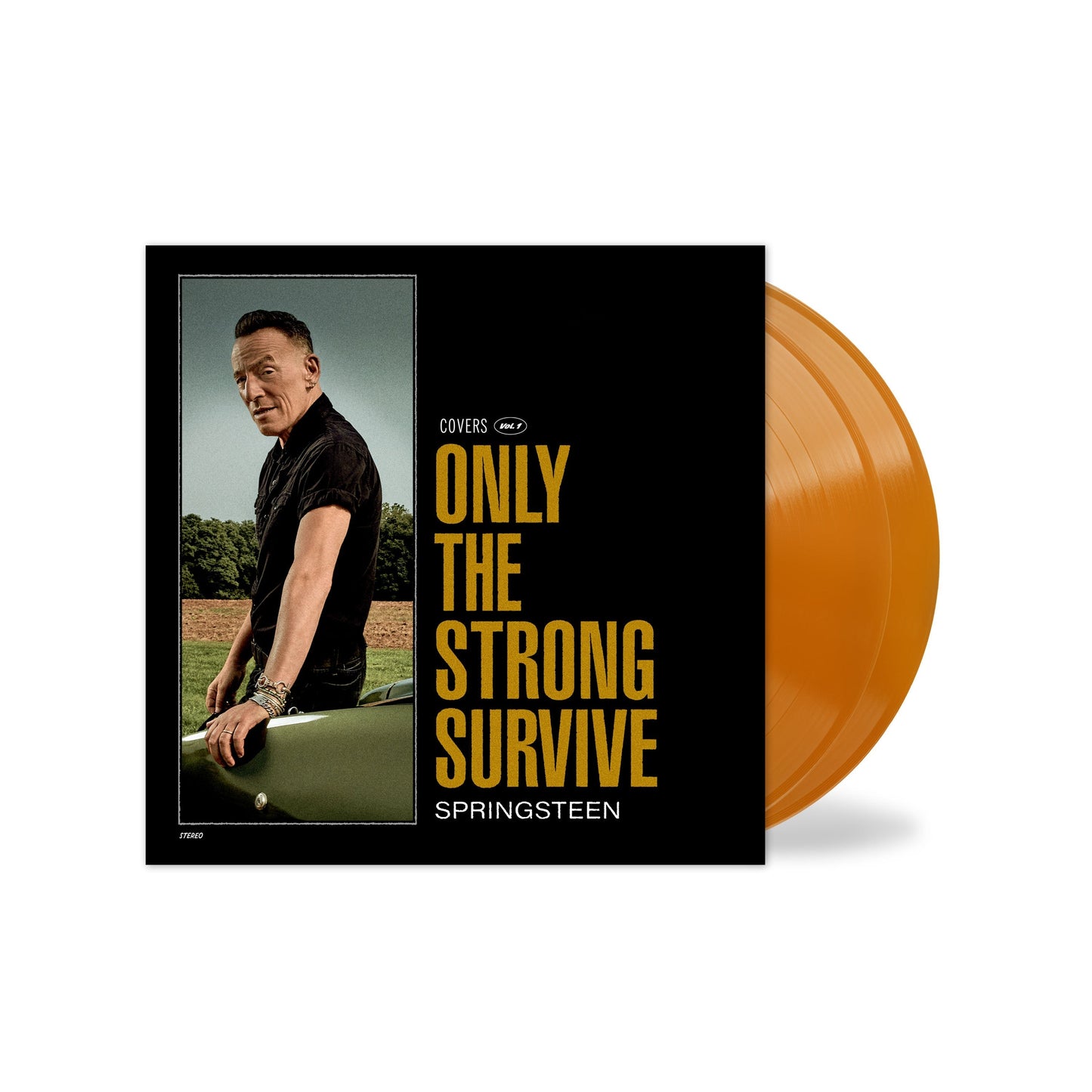 Bruce Springsteen - Only The Strong Survive Exclusive Orange Vinyl 2LP