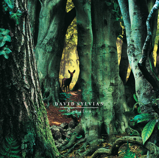 David Sylvian - Manafon Vinyl 2LP