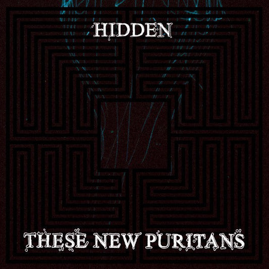 These New Puritans | Hidden | Album