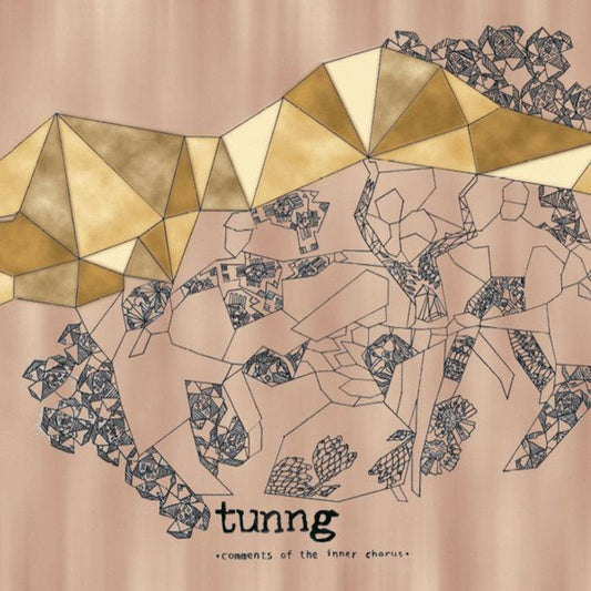 Tunng | Comments of the Inner Chorus | Album