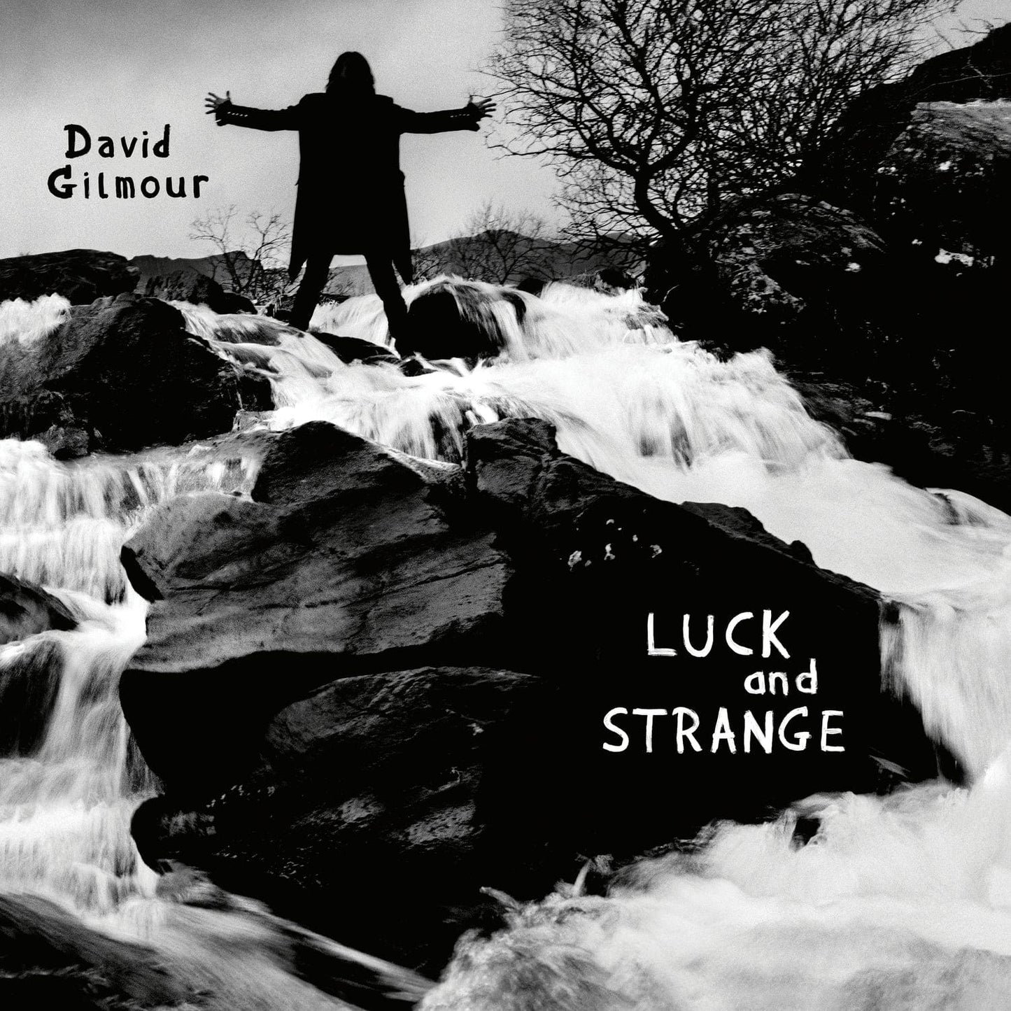 David Gilmour - Luck And Strange LP NEW