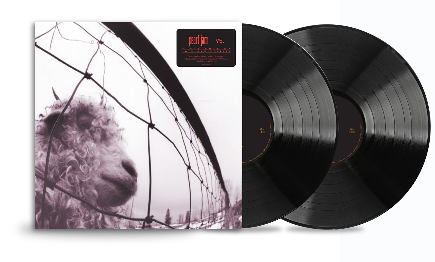 Pearl Jam - Vs. (30th Anniversary Edition) Vinyl