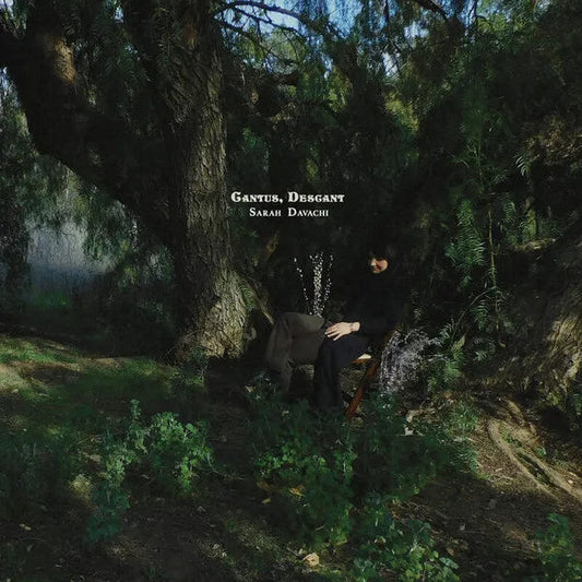 Sarah Davachi | Cantus Descant | Album